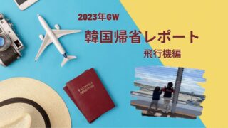 韓国帰省レポート～飛行機編～