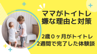 ママたちがトイトレを嫌な理由と対策。2歳0か月が2週間でトイトレ完了した体験談